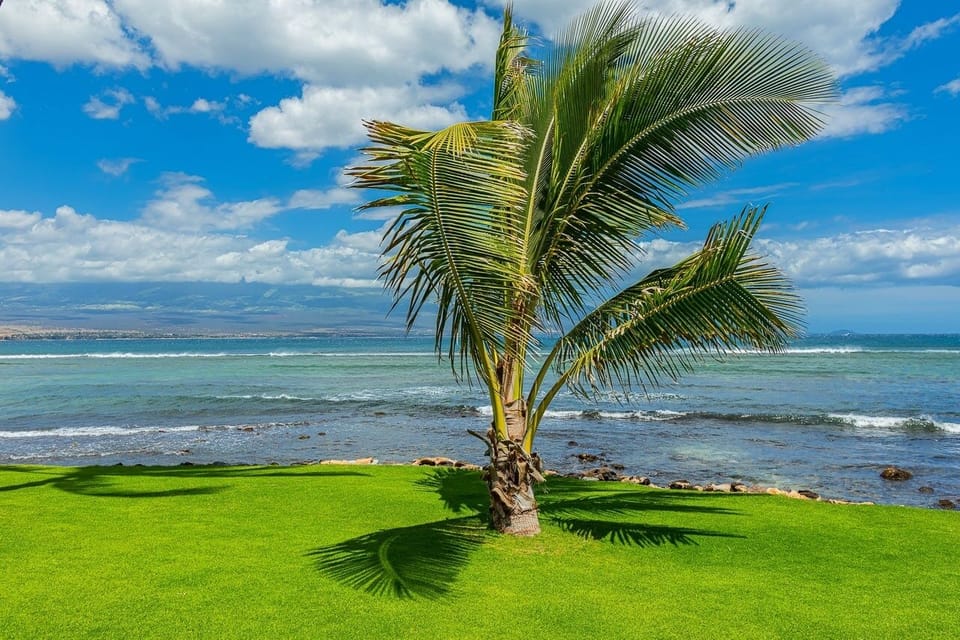 Condo, 2 Bedrooms | Beach | On the beach