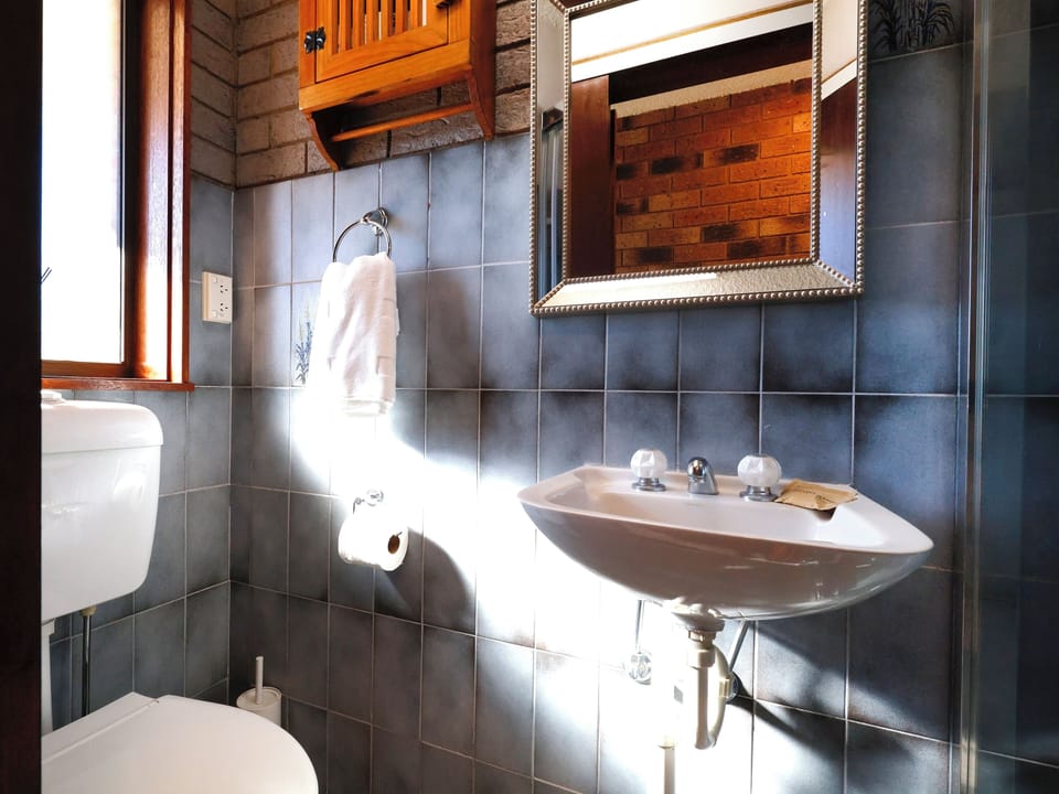 Lower  bathroom