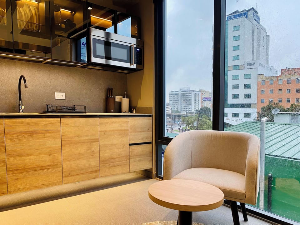 Grand Apartment | Private kitchen | Fridge, microwave, electric kettle, griddle
