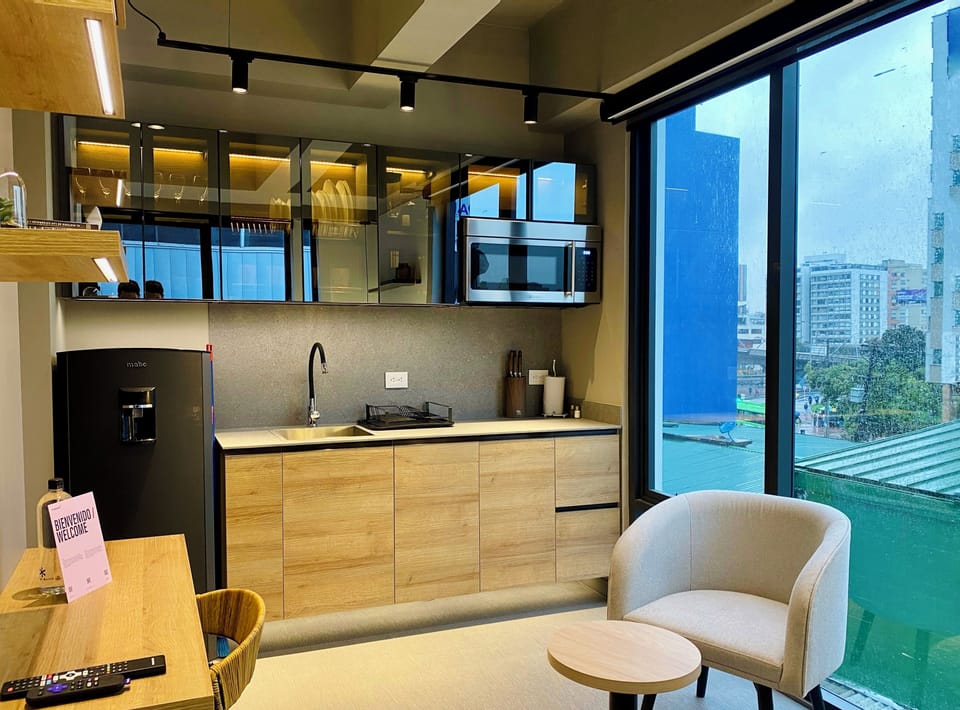 Grand Apartment | Private kitchen | Fridge, microwave, electric kettle, griddle