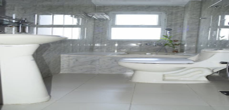 Shower, rainfall showerhead, towels, soap