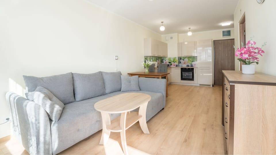 Apartment (33) | Living area | 30-inch flat-screen TV with cable channels, TV