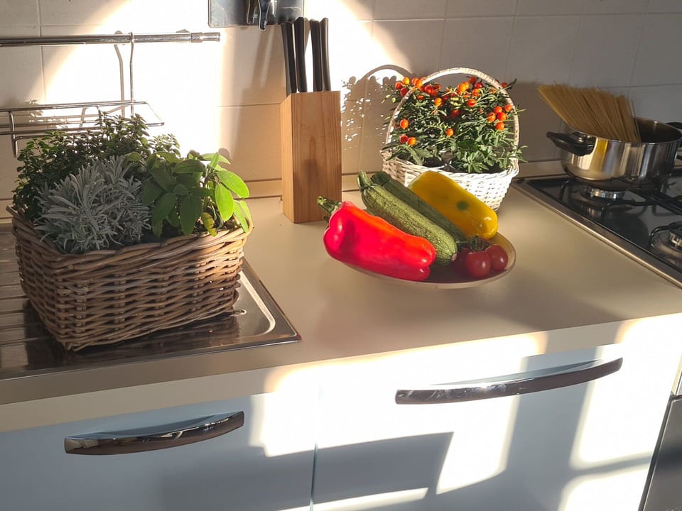 Plant, Countertop, Kitchen, Kitchen Appliance, Interior Design, Lighting, Tableware, Houseplant, Kitchen Stove, Gas Stove