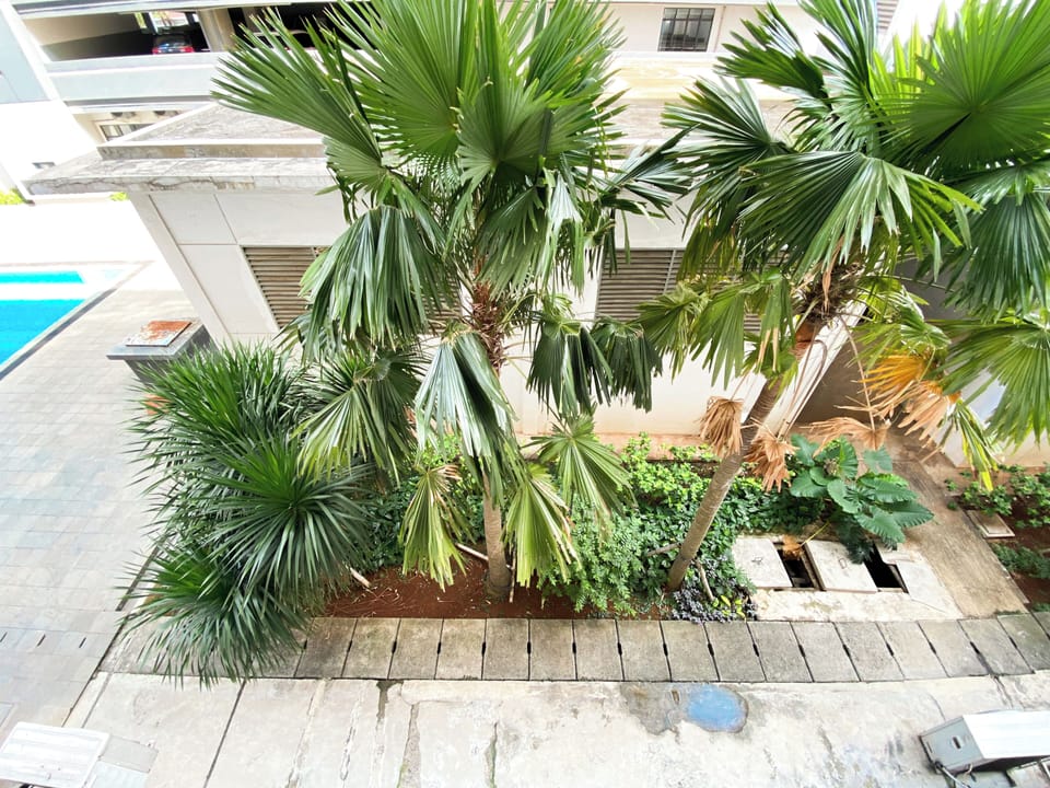 Deluxe Apartment | View from room
