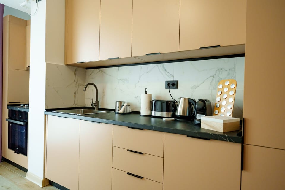 Deluxe Apartment | Private kitchen | Full-size fridge, microwave, dishwasher, toaster