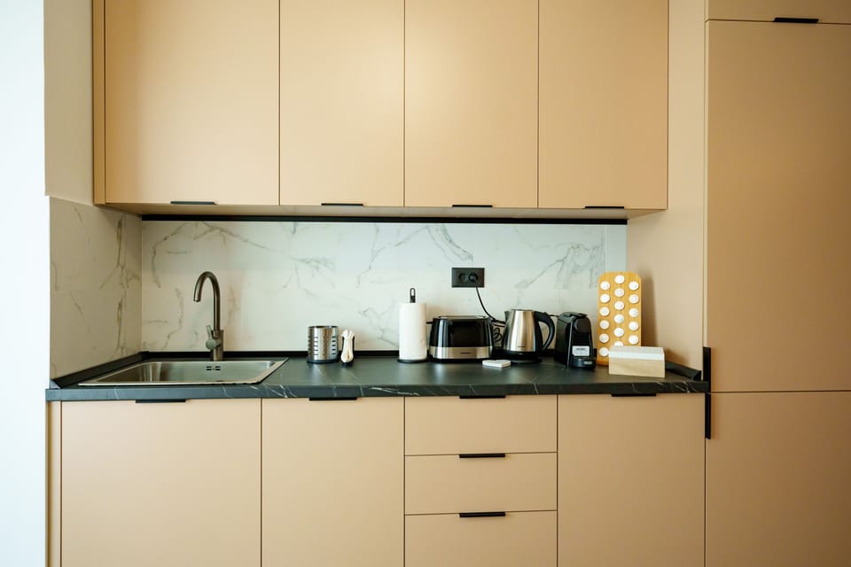 Deluxe Apartment | Private kitchen | Full-size fridge, microwave, dishwasher, toaster