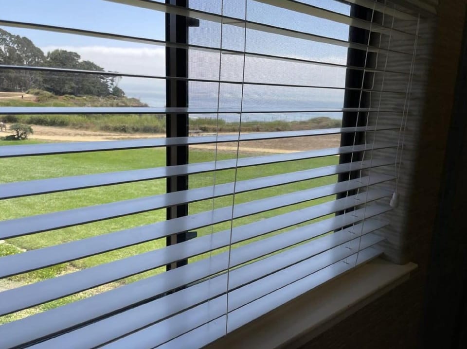 View from Bedroom