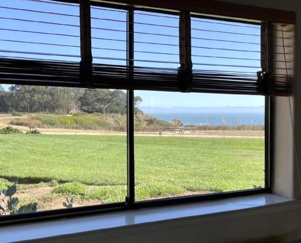 View from Living Room