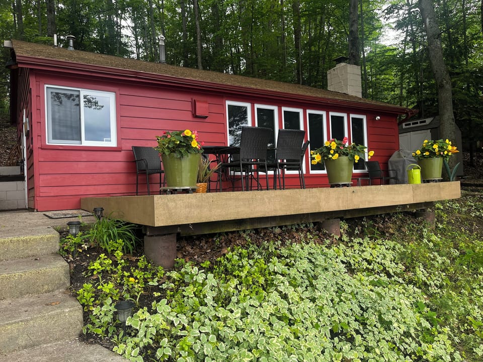 Back house/yard