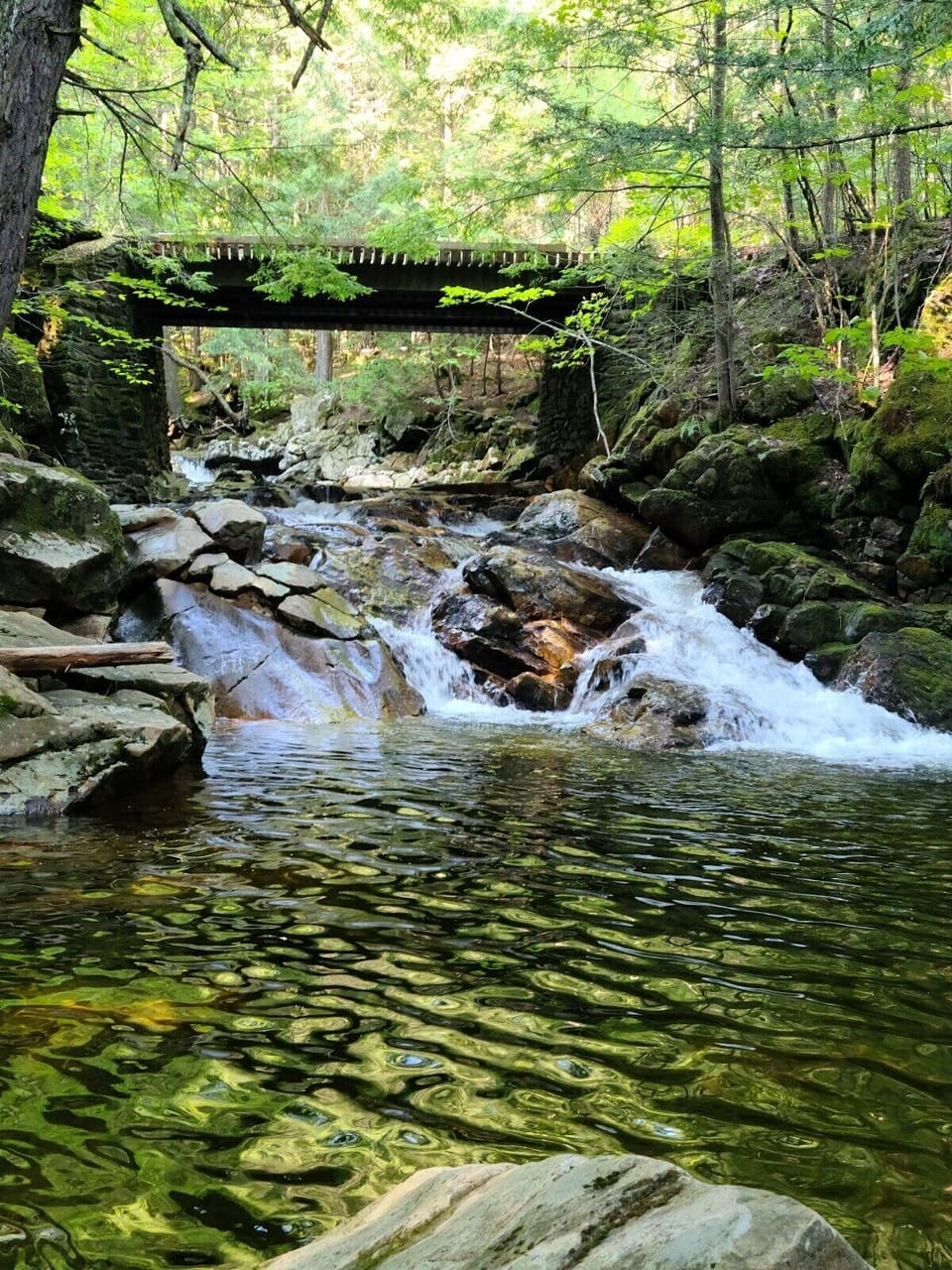 Our driveway/bridge, waterfalls and pool 5 min slow walk from retreat house.