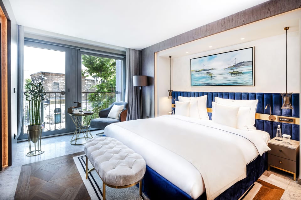 Vegan Room | Egyptian cotton sheets, premium bedding, down comforters, pillowtop beds
