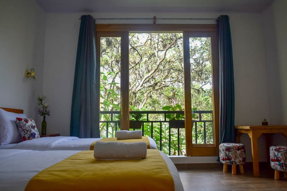 Deluxe Double or Twin Room | Down comforters, WiFi (free), bed sheets
