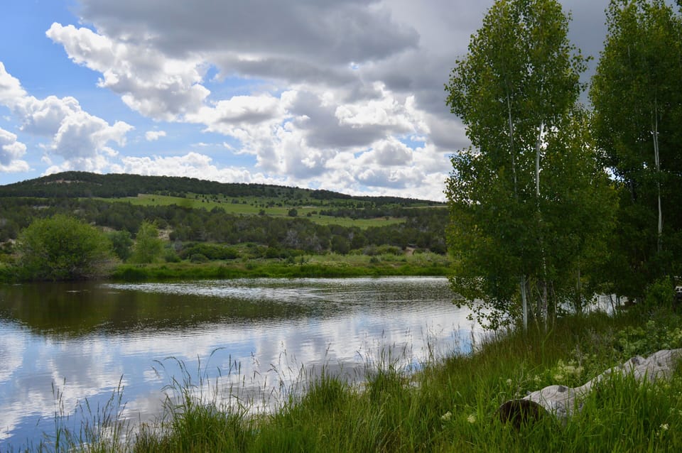 pond