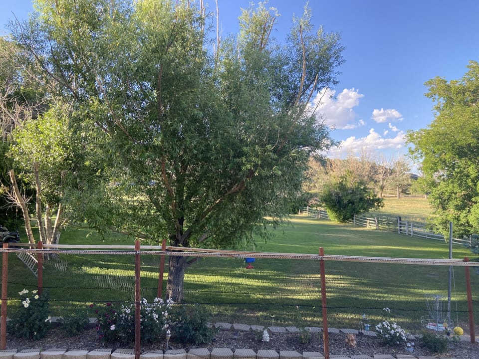 North Lawn view from deck
