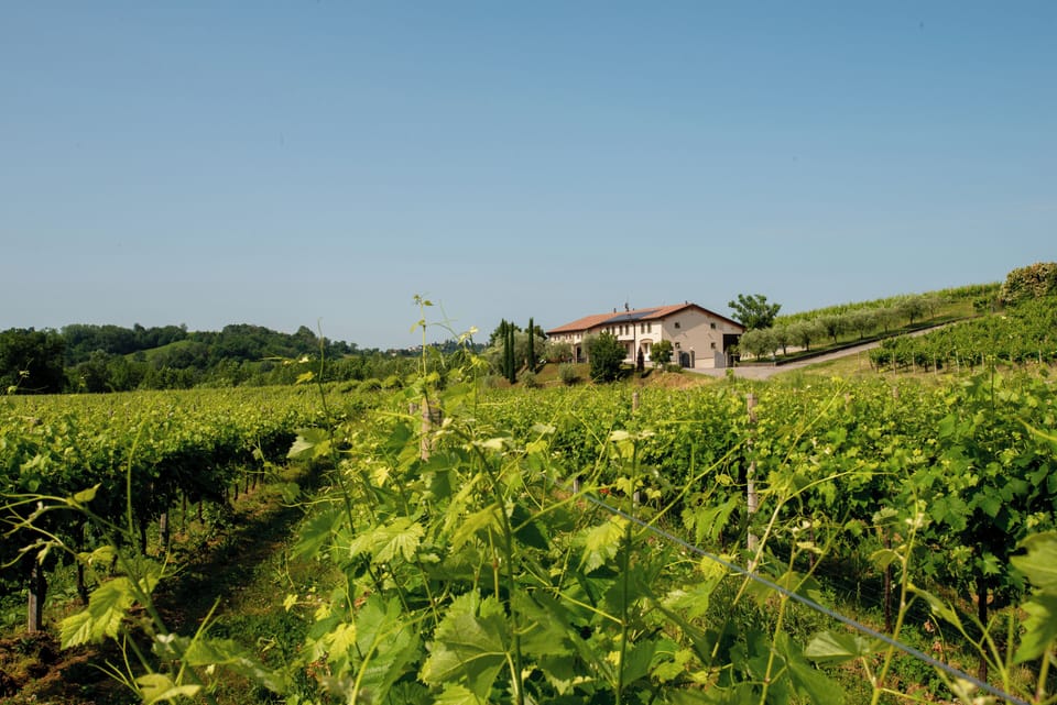 Winery
