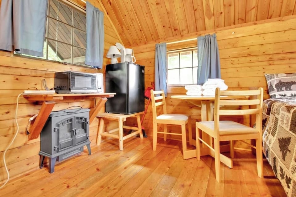 Electric Fireplace I Microwave I Mini Refrigerator I Coffee Maker 