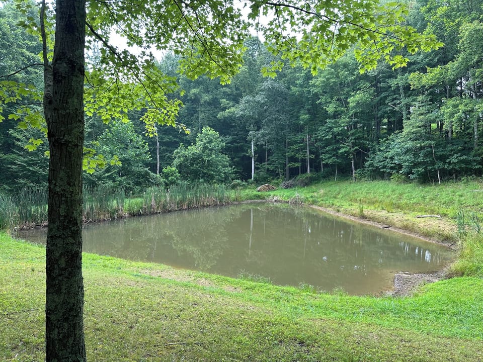 FISHING POND