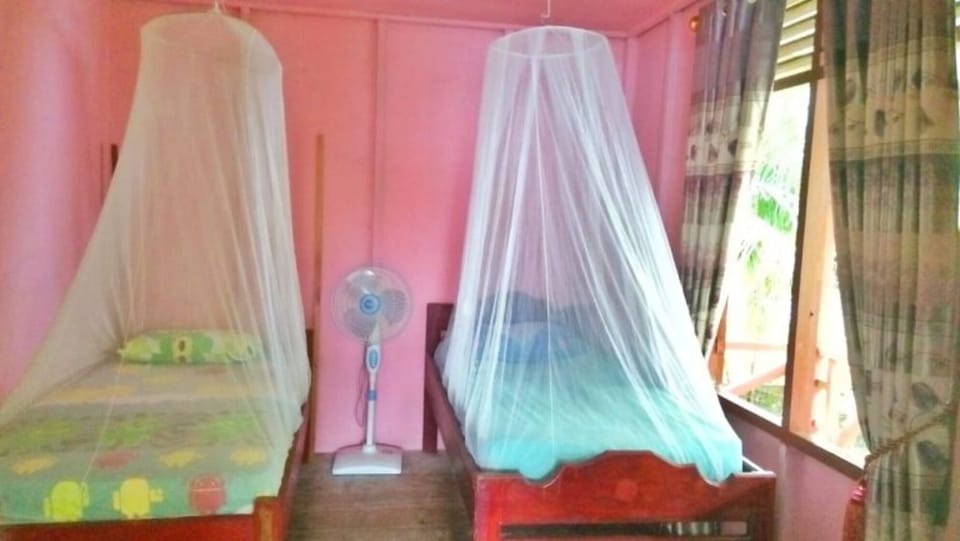Basic Twin Room