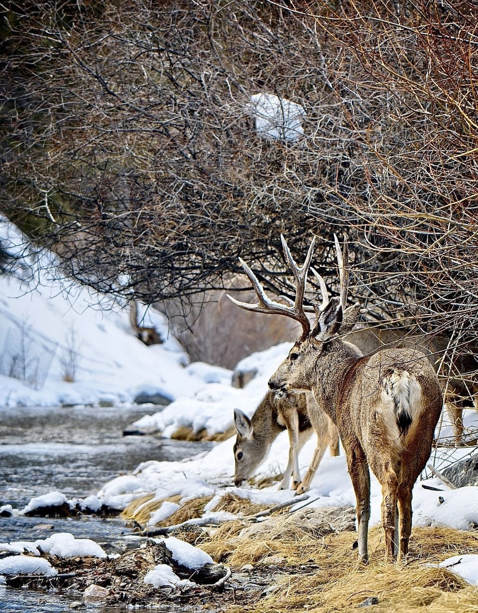 36e6d675-b8a9-4d28-9646-c67a4e939c1b