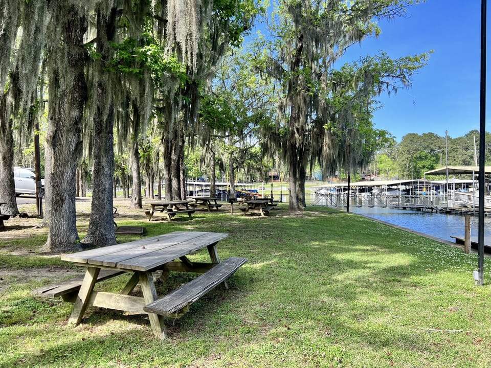 Picnic or Fish Near Marina