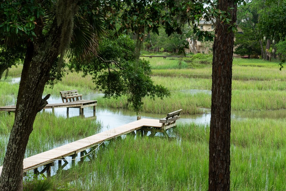 Great marsh views from the upper deck