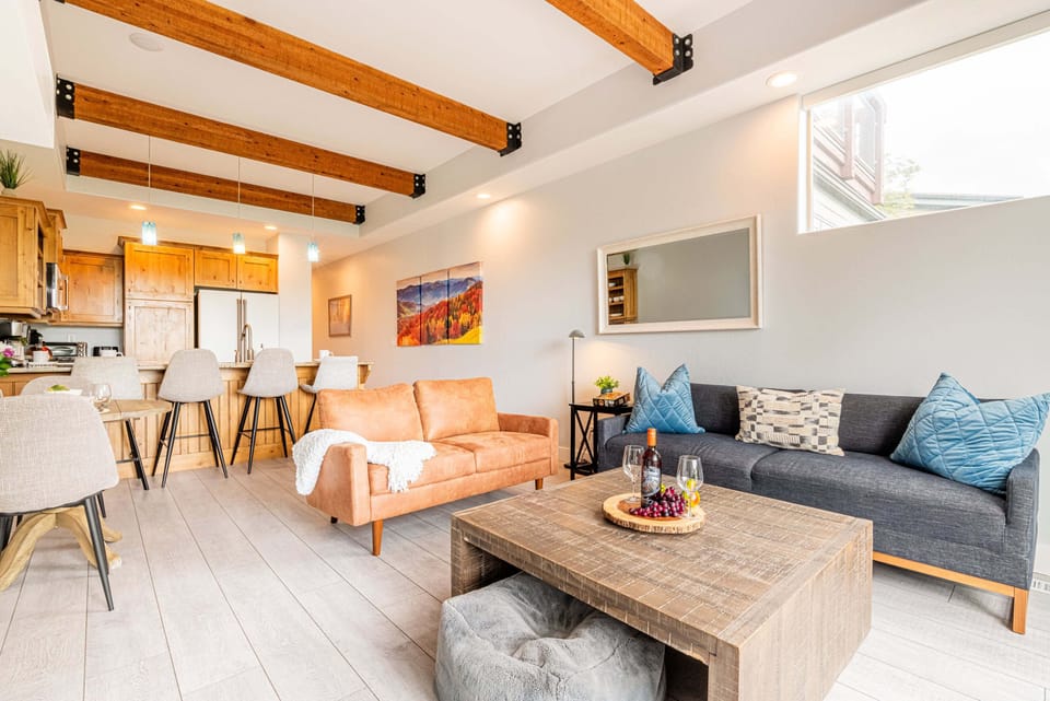 Living Room with a full-size sleeper sofa