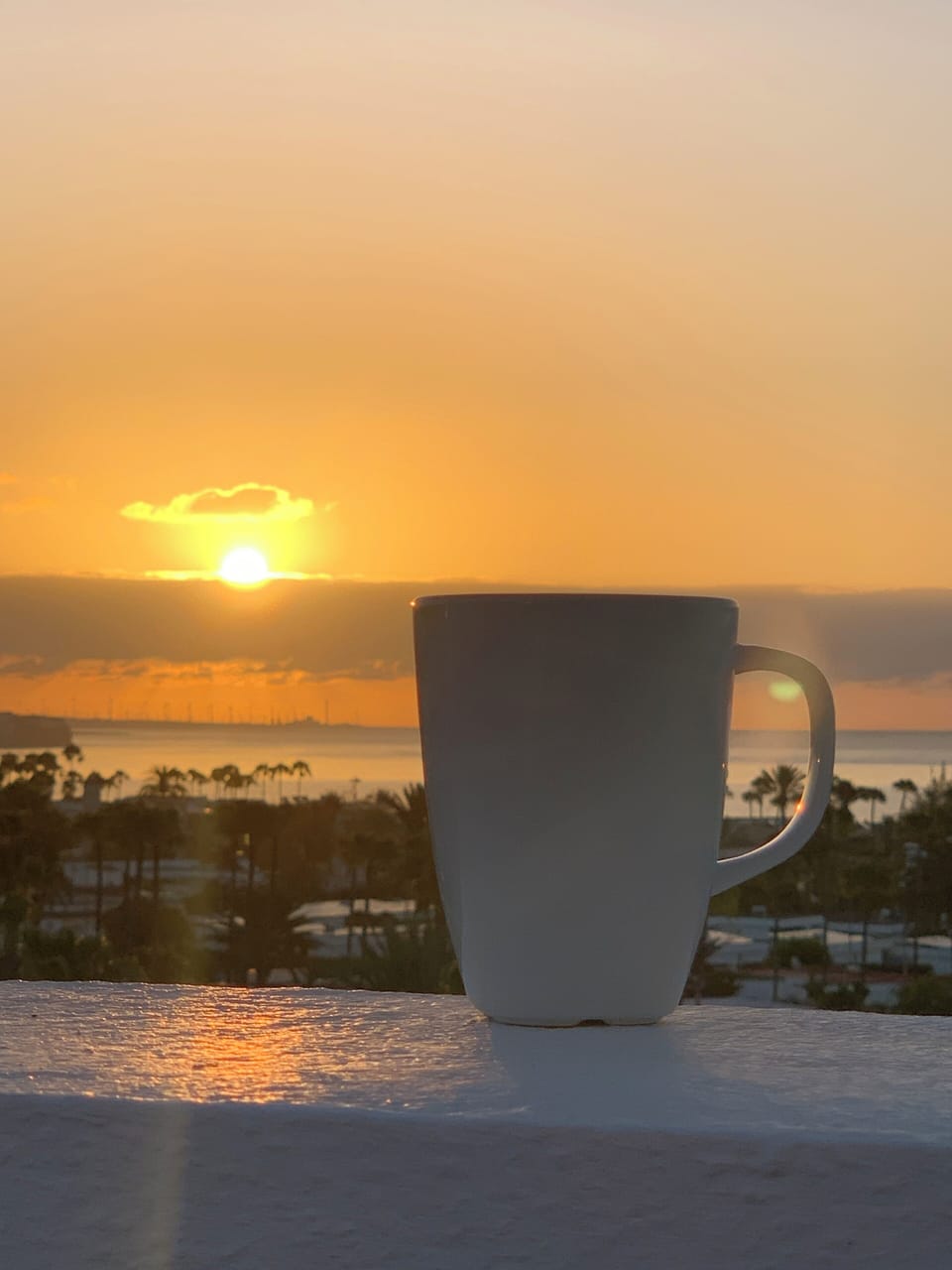 Morning coffee with sea view from the roof terrace. 