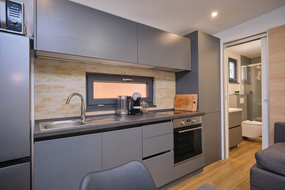 Morning Sun | Private kitchen | Full-size fridge, microwave, stovetop, dishwasher