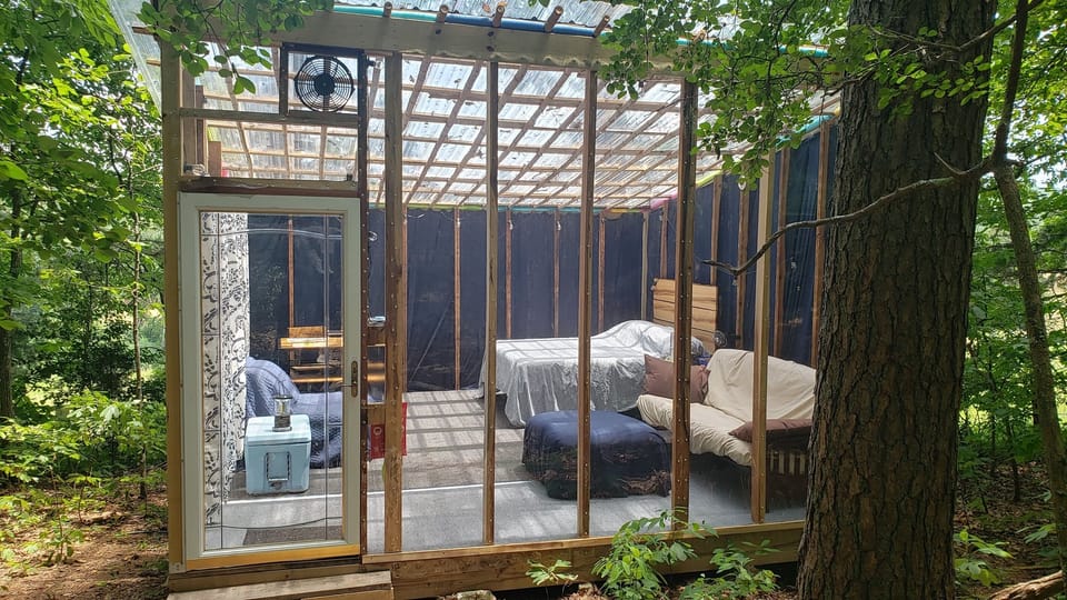 A Forest dwelling experience like no other