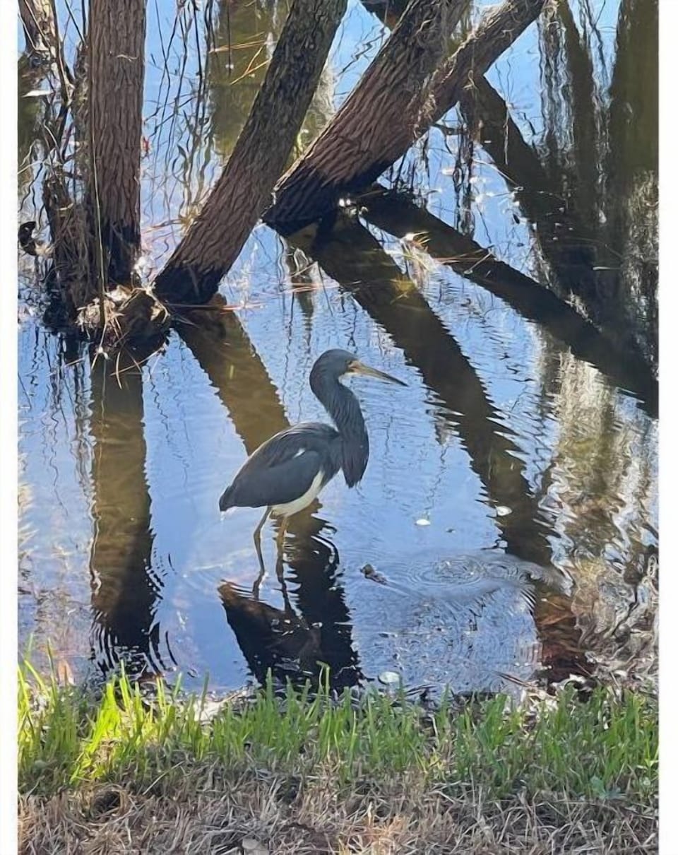 Enjoy your nature walks!