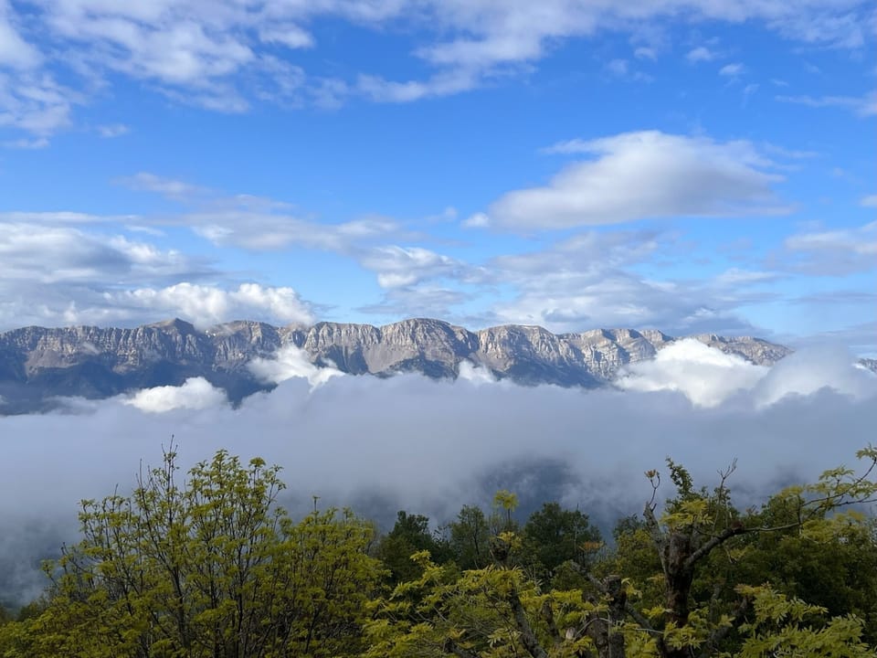 montaña 