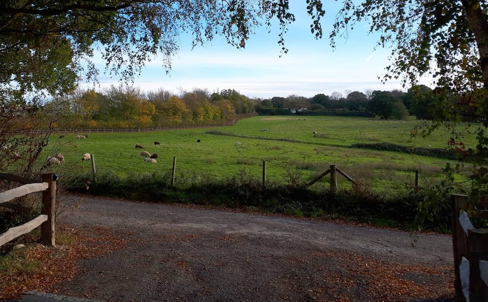 View from entrance of driveway into surrounding fields