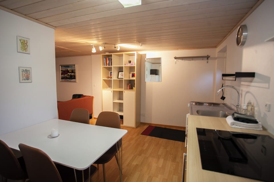 Apartment | Private kitchen | Coffee/tea maker, fridge, oven, electric kettle