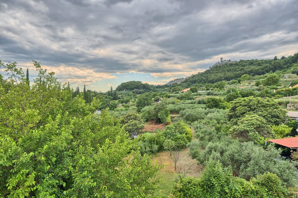 Apartment | Miscellaneous