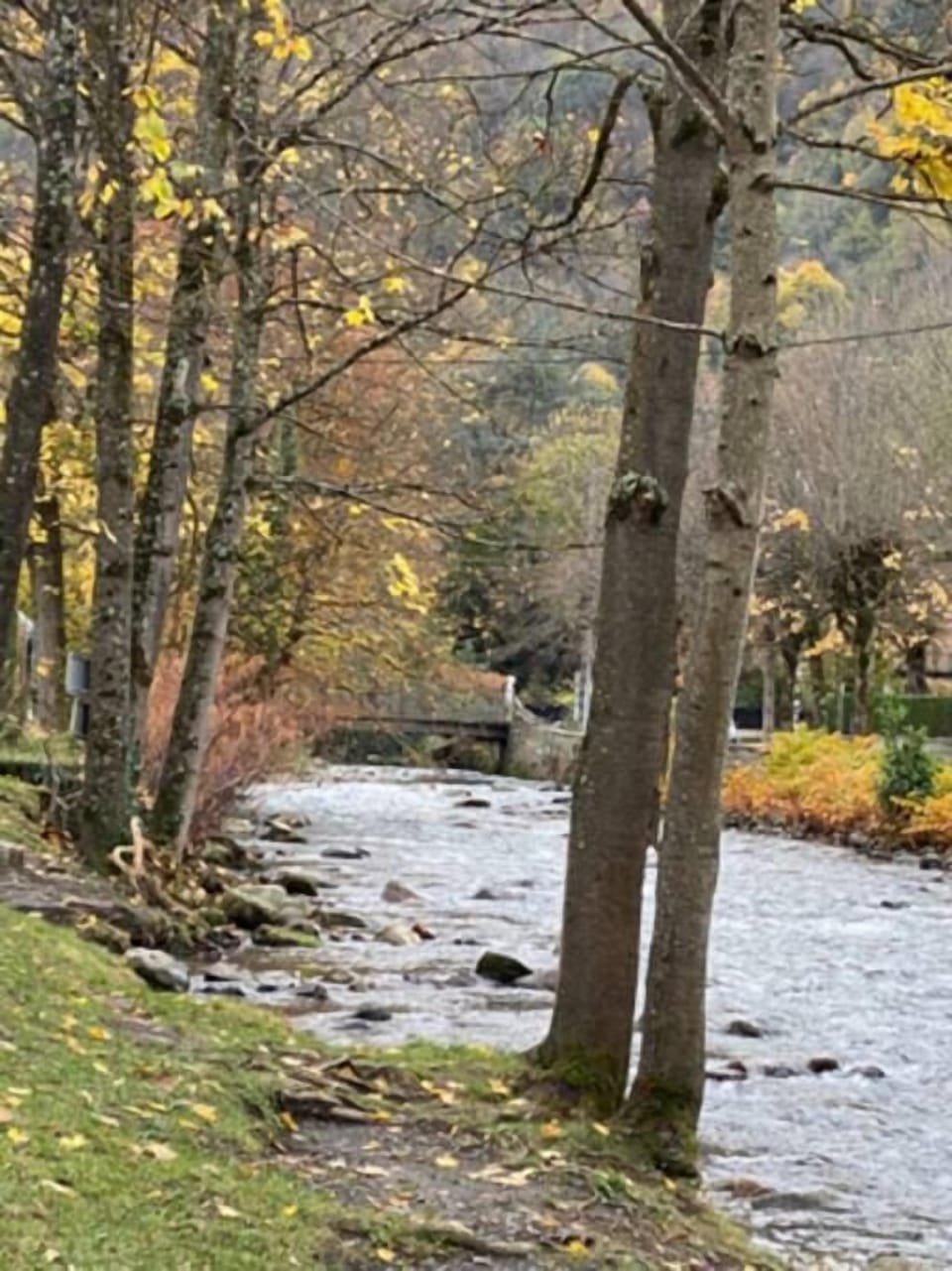 La Pique river runs at the bottom of Allée des Bains