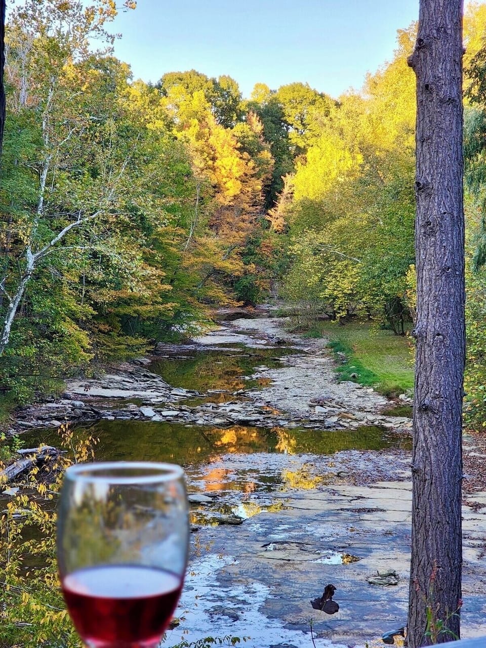 View of the river from the deck. Photo courtesy of one of our guests.
