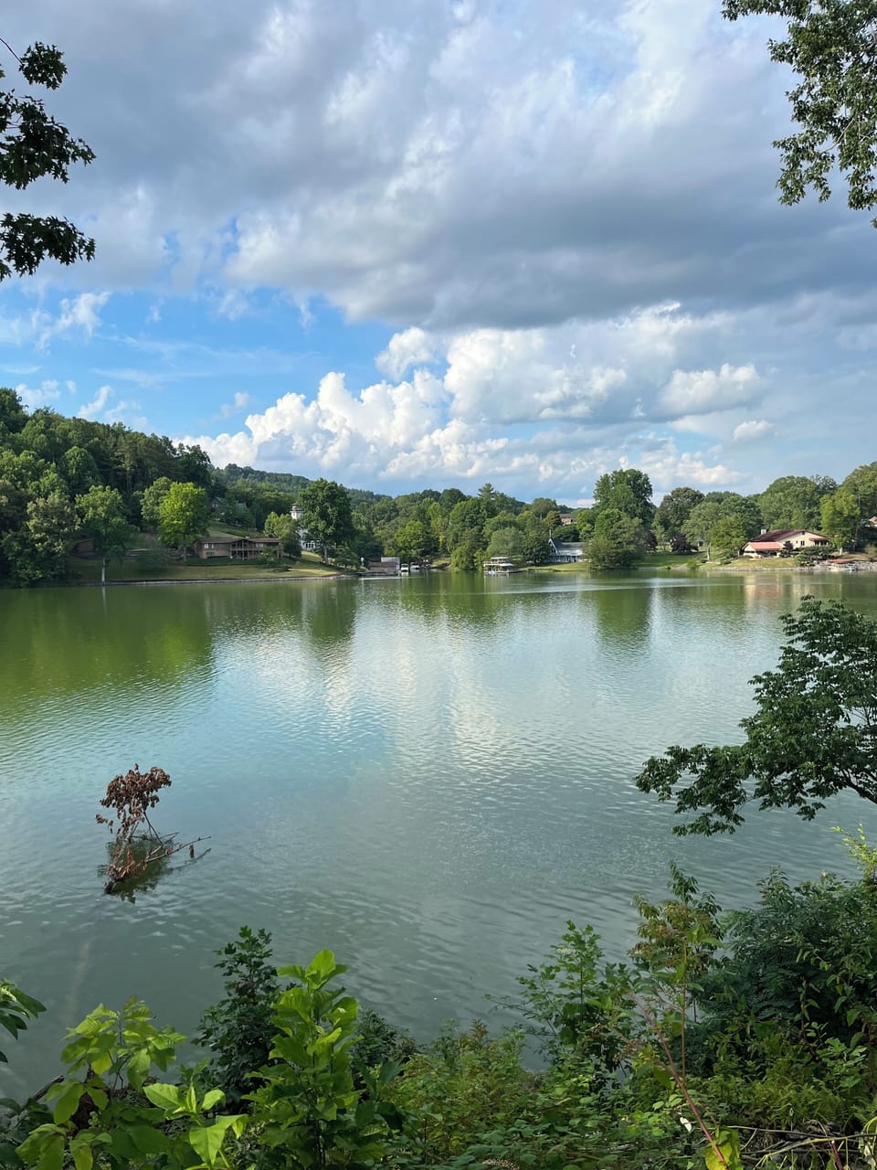 Stunning lake view from the propety.