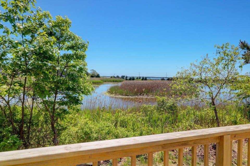 Tidal Estuary