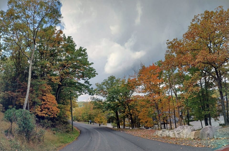 Leaf peeping season