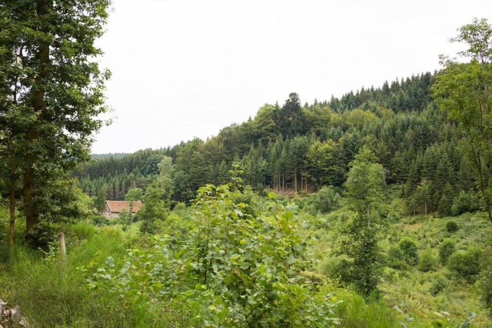 Surroundings [summer] (1-5 km)