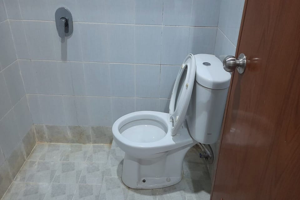 Deluxe Double Room | Bathroom | Shower, towels