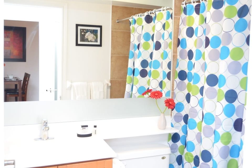 Combined shower/tub, free toiletries, hair dryer, towels
