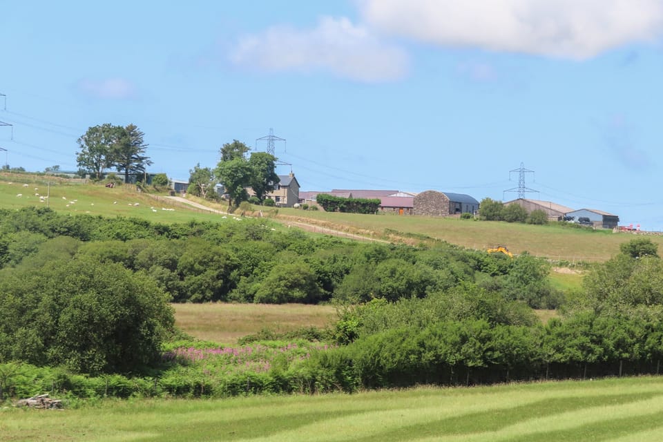 Cottage | Miscellaneous