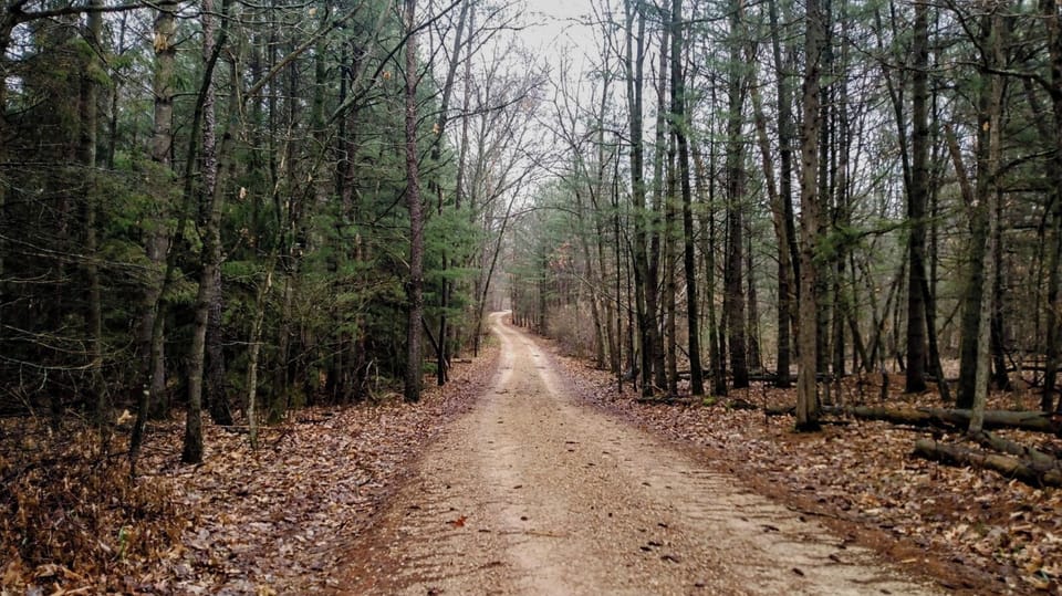 Driveway - we are at the end of this driveway. 