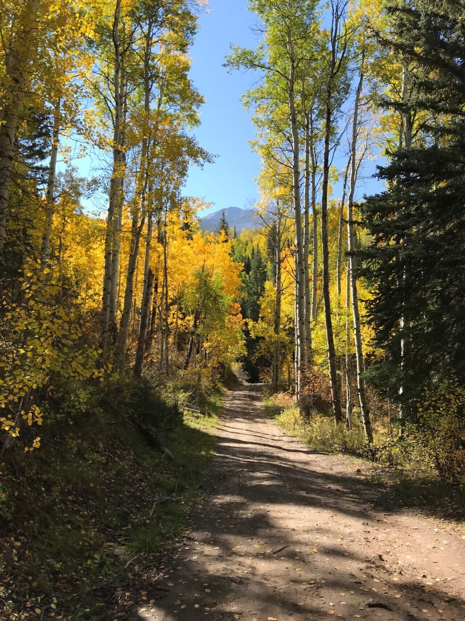 Sometimes the adventure is worth the effort. Road to Tim`s waterfall off Kebler Pass