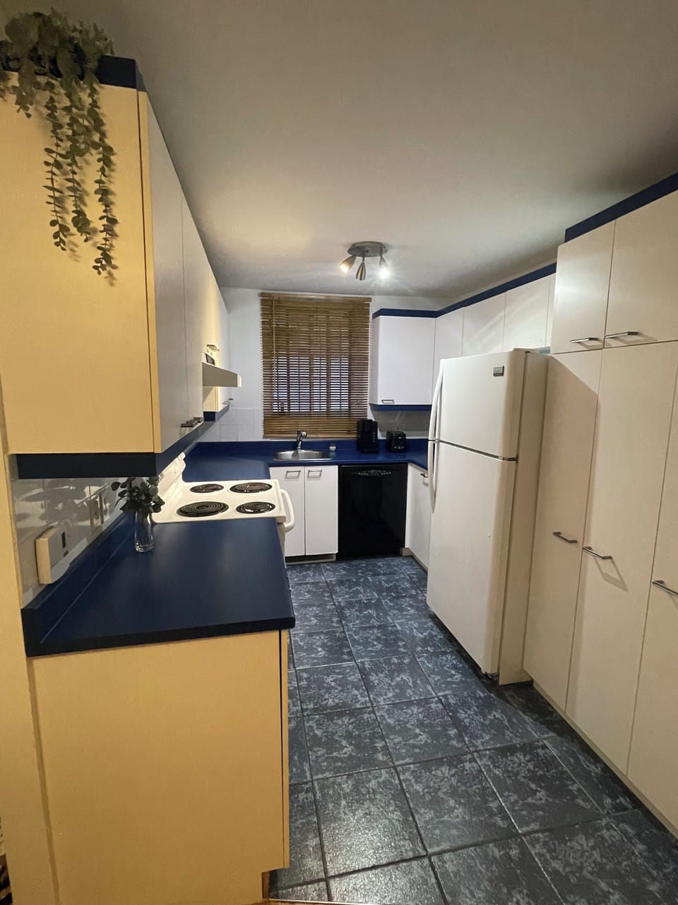 Kitchen with all appliances and amenities 