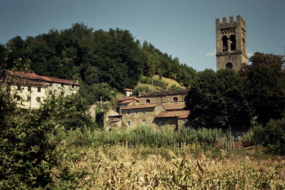 Image 12