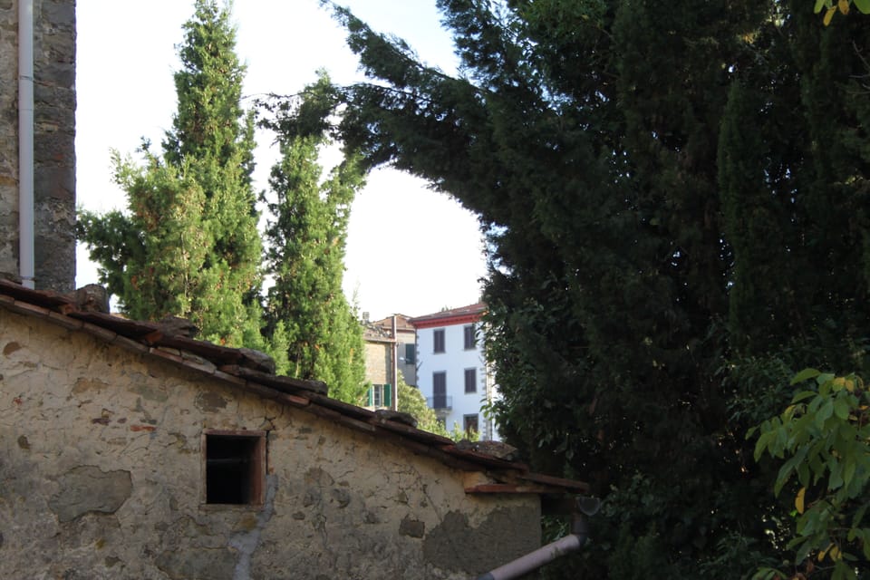 Image 13