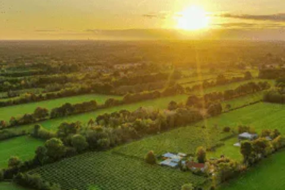 Surroundings [summer] (1-5 km)