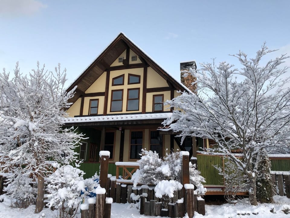 Snow Scene